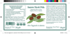 Immagine di Olive Taggiasche in Salamoia 180g
