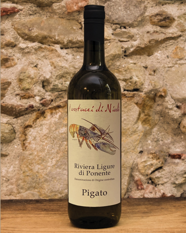 Pigato d.o.c. Polla Picture of Pigato d.o.c. wine